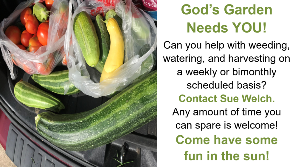 God's Garden Needs Help