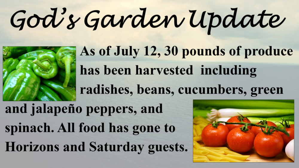 God's Garden Update 7-2023