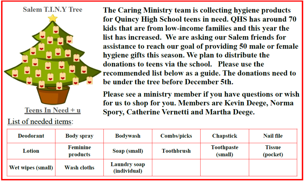 Salem T.I.N.Y Tree 12-5-2023