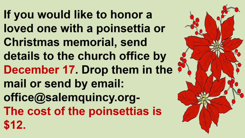 Memorials and Poinsettias 2025 Memorials and Poinsettias 2025